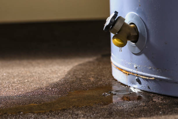 Best Commercial water damage restoration  in Salem Lakes, WI