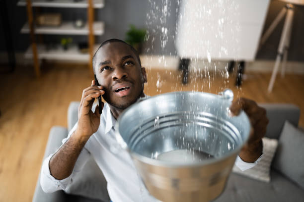 Best Basement water damage restoration  in Salem Lakes, WI