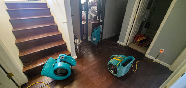 Best Emergency water damage restoration  in Salem Lakes, WI