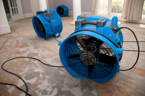 Best Water damage restoration near me  in Salem Lakes, WI