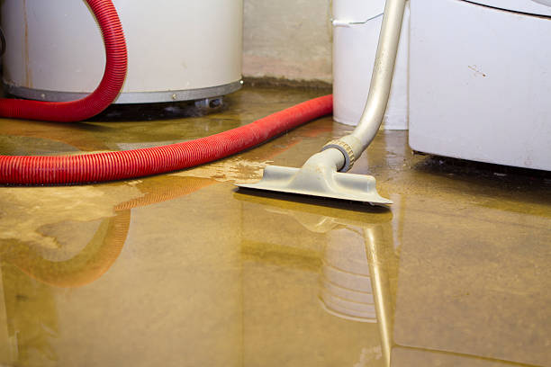 Best Mold removal after water damage  in Salem Lakes, WI