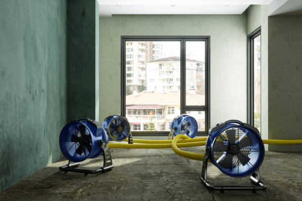 Best Water damage contractors near me  in Salem Lakes, WI